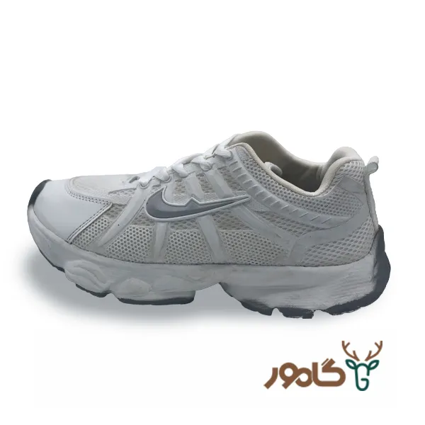 کتونی نایک پختی